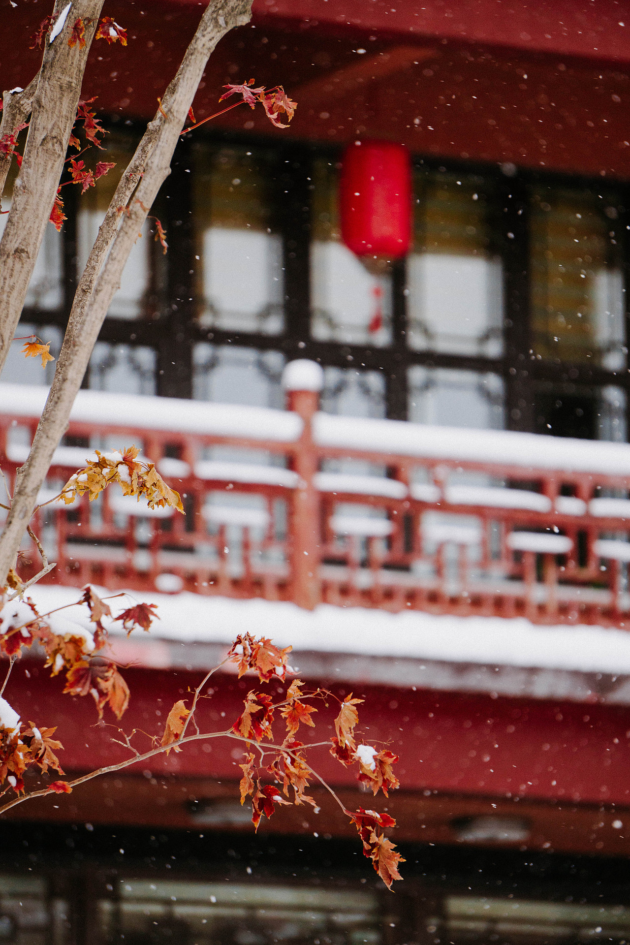又是一年初雪时（图ZMjc3MDQxNTI0） - 风光摄影 - 站酷设计师方块史蒂夫原创素材 - 站酷ZCOOL