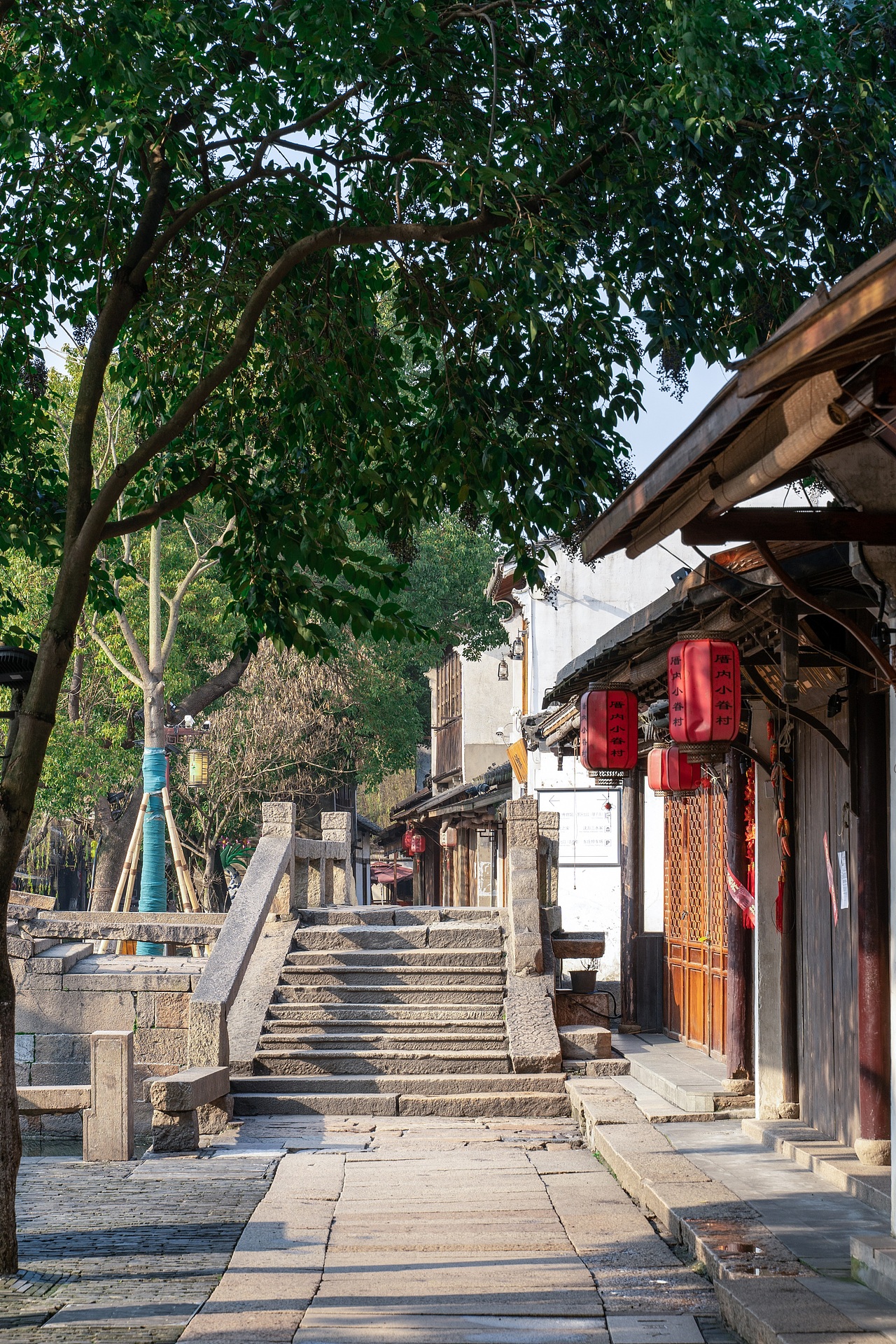 2020周庄古镇春色