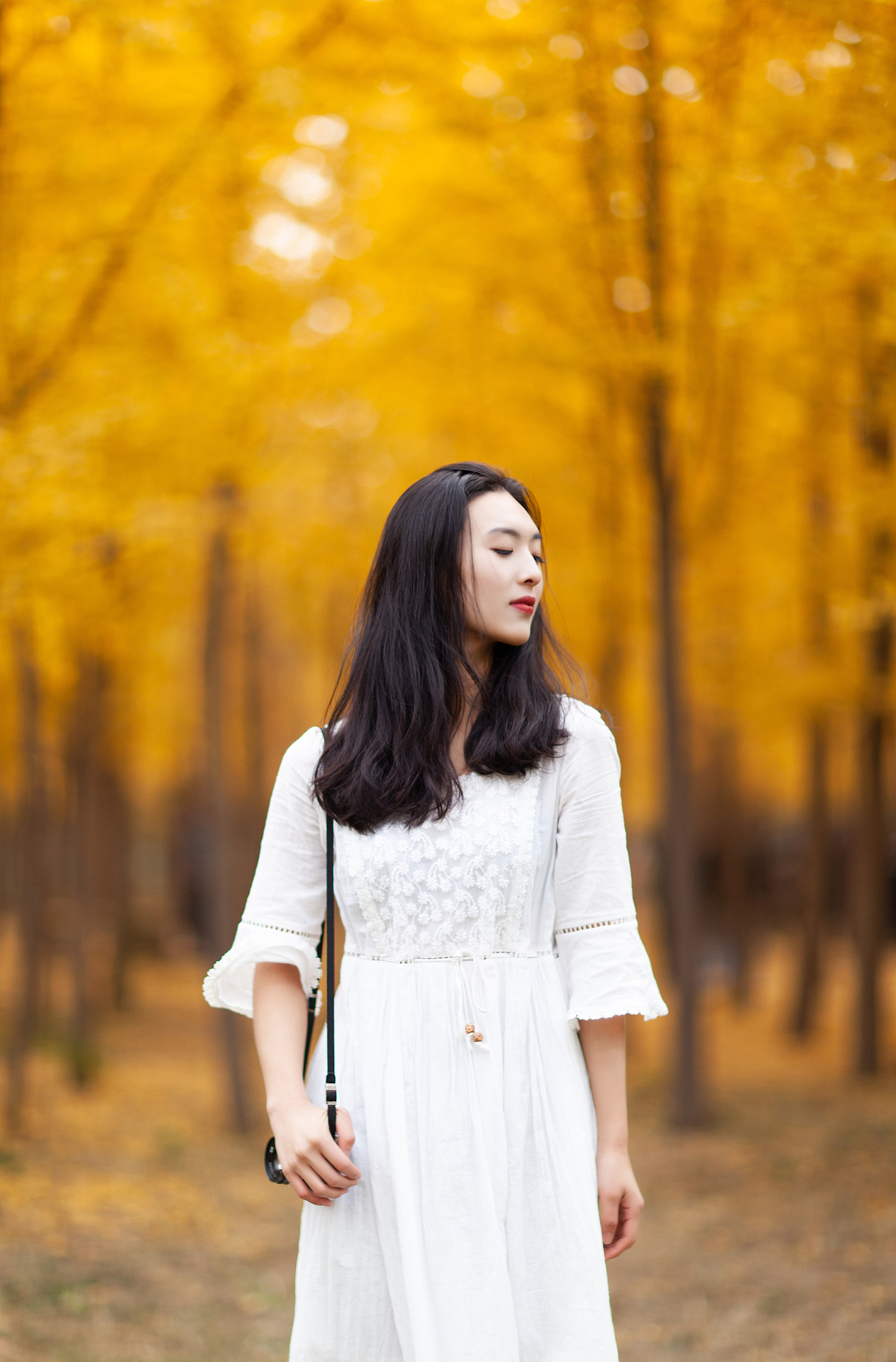 经贸的银杏（图ZMTk0NTI3NzIw） - 人像摄影 - 站酷设计师摄影师张海洋原创素材 - 站酷ZCOOL