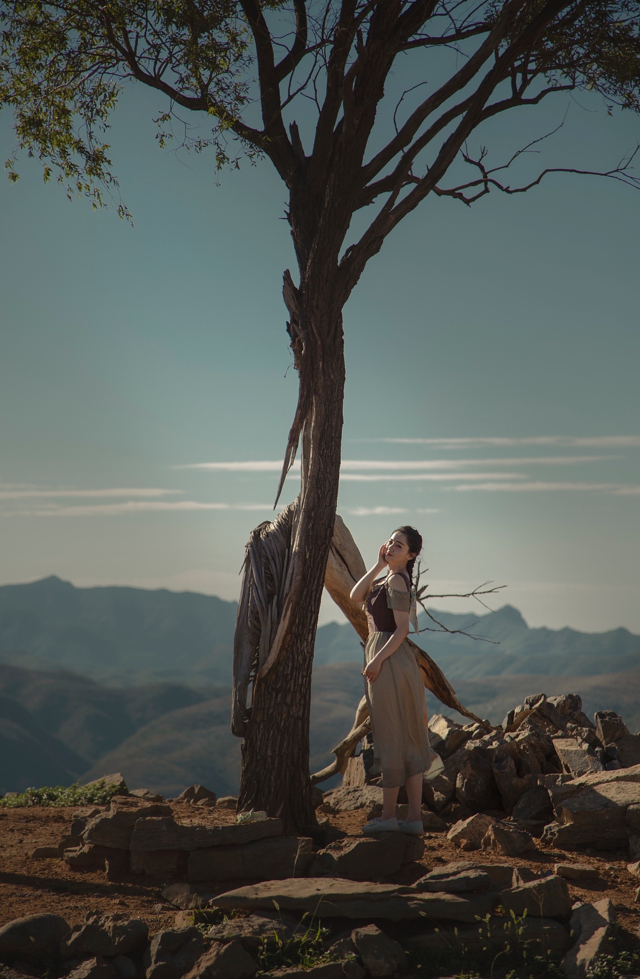 阿尔卑斯山上的姑娘