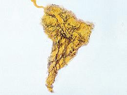 《失之毫厘差之千里》