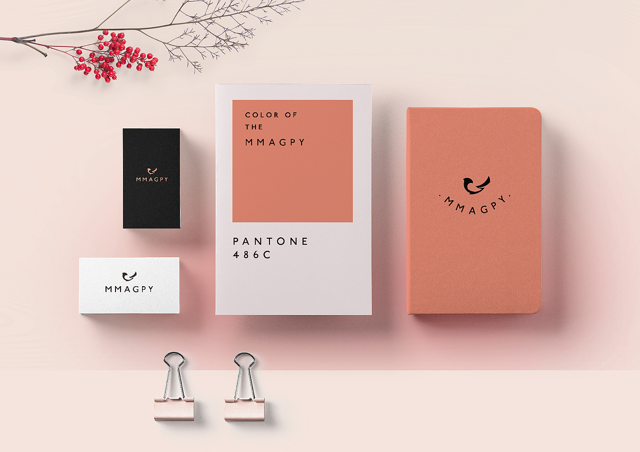 珠宝品牌MMAGPY -标志设计（图ZMTQ3ODU3ODIw） - 品牌 - 站酷设计师王开米原创素材 - 站酷ZCOOL
