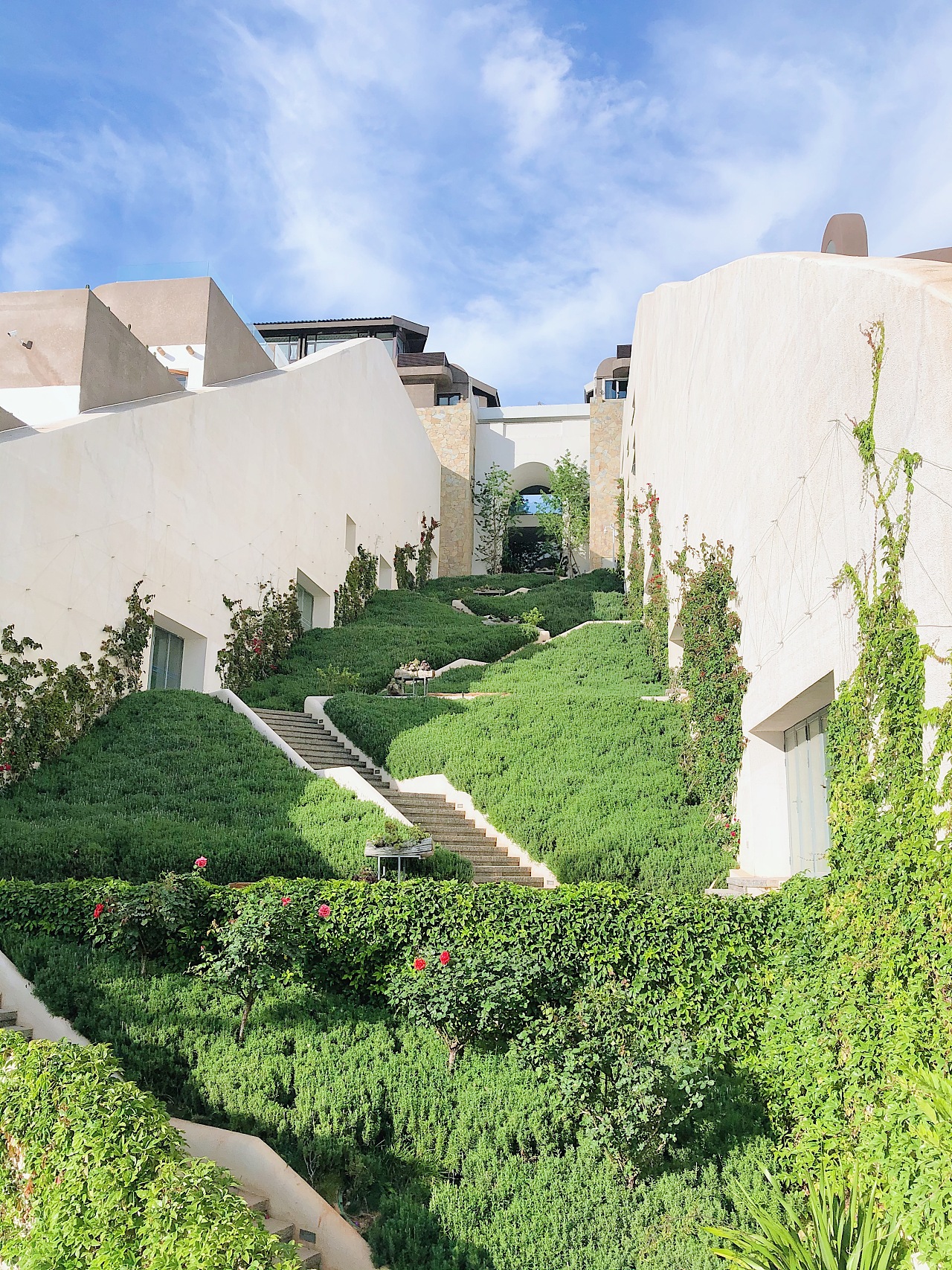 云南大理理想邦