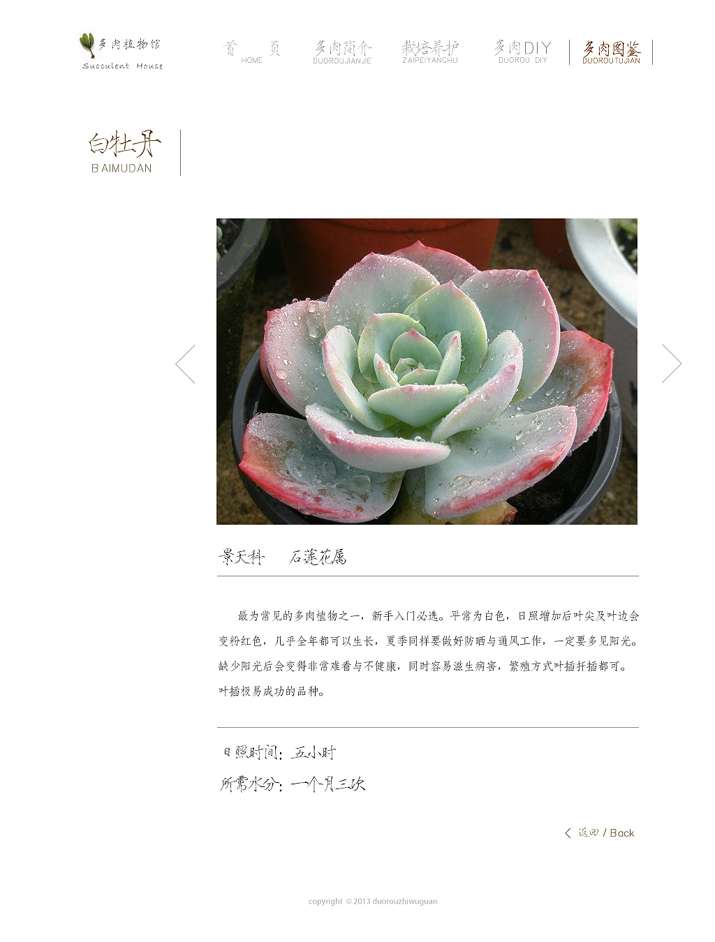 多肉植物馆（图ZMjUxNjAwMDQ=） - 运营设计 - 站酷设计师共二亓原创素材 - 站酷ZCOOL