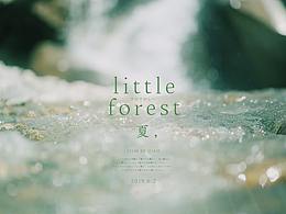 little forest - 夏  | 城市
