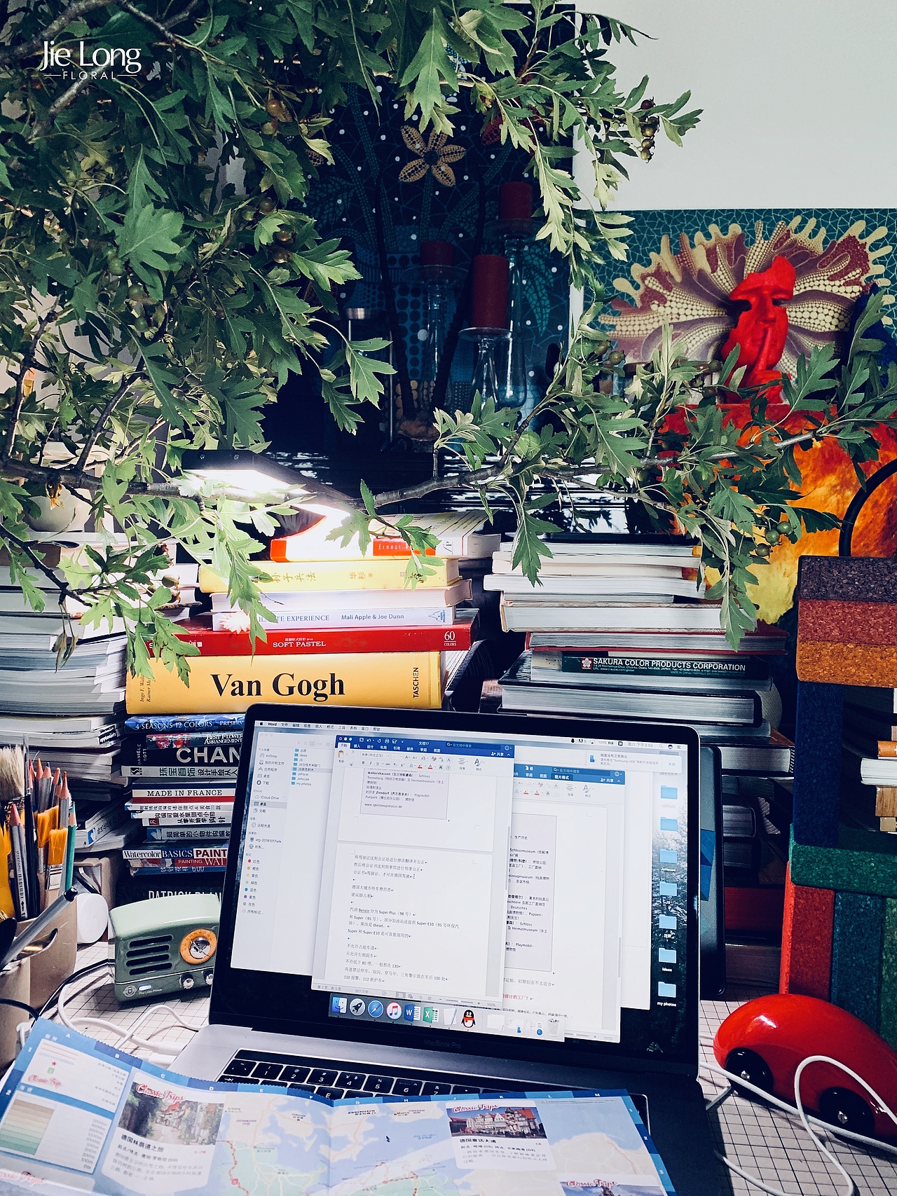 插花+摄影【3】（图ZMjM1MDM1OTg4） - 产品摄影 - 站酷设计师龙婕二创影之刃原创素材 - 站酷ZCOOL