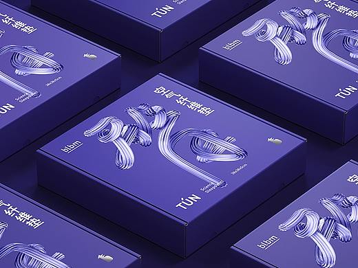 悟形VDG / 开启黑科技品牌的国潮之路