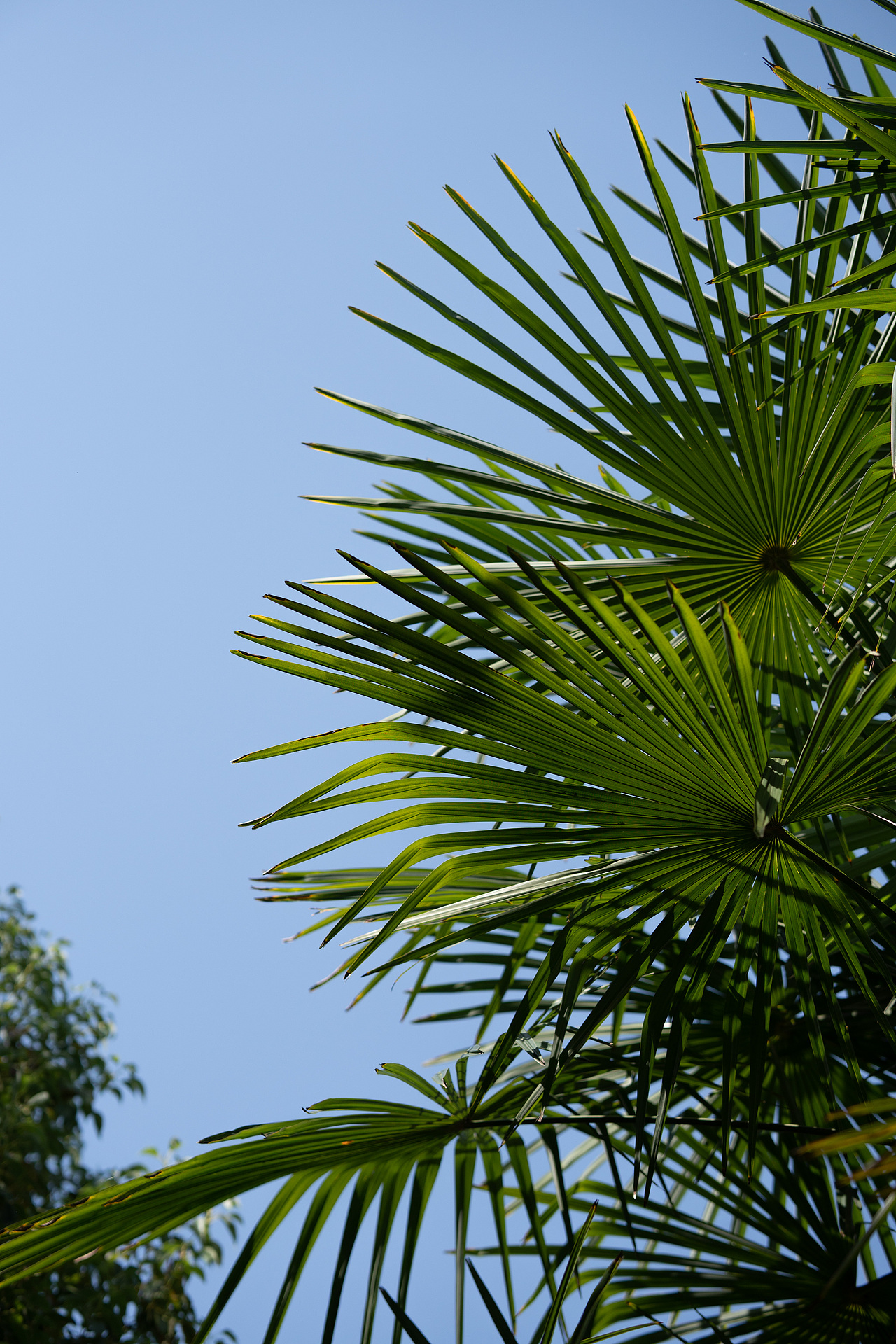 【扫街人文】宜昌西坝公园