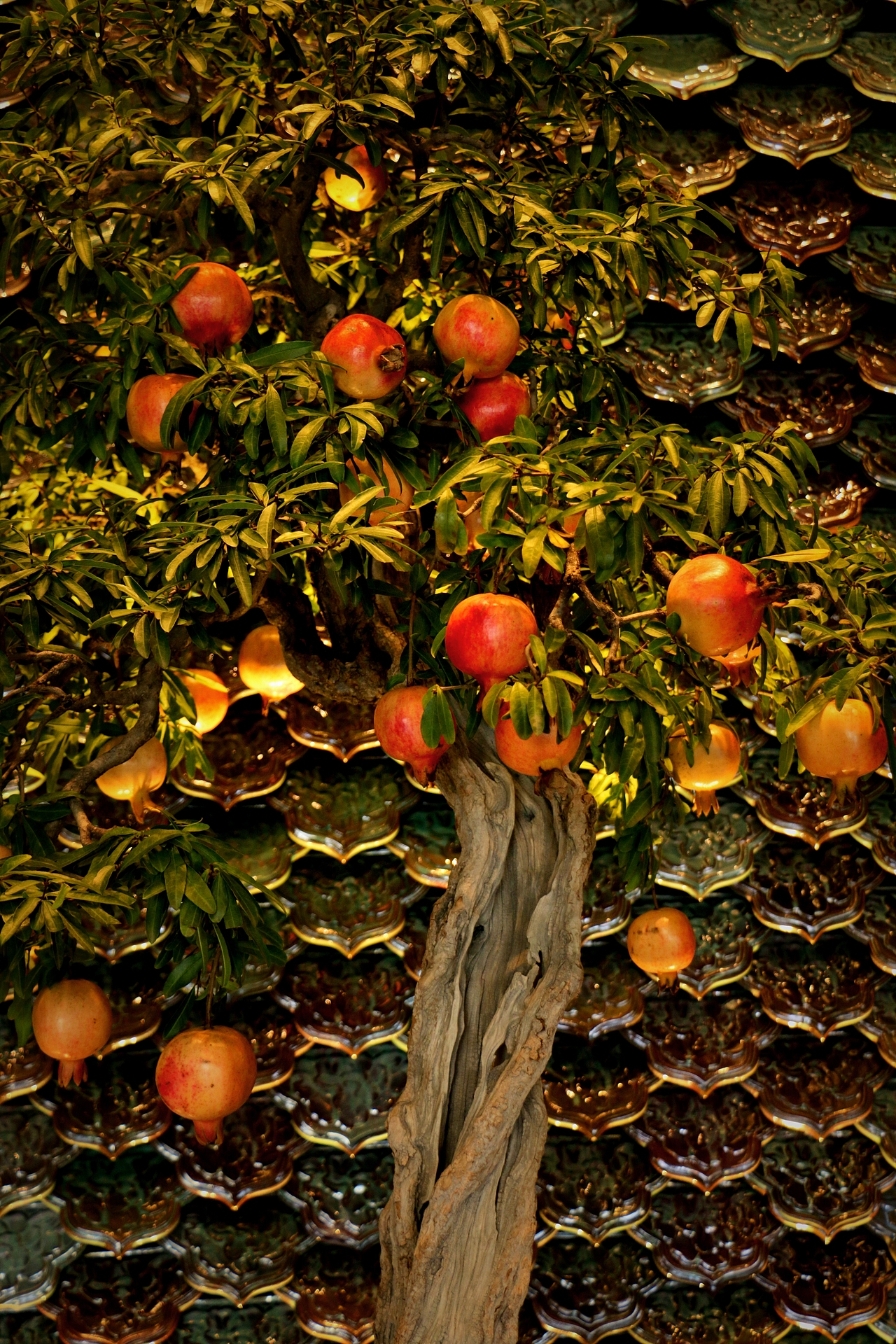 摄影（图ZMTc3NTU1Mjg4） - 人文/纪实摄影 - 站酷设计师是星辰大海呀原创素材 - 站酷ZCOOL