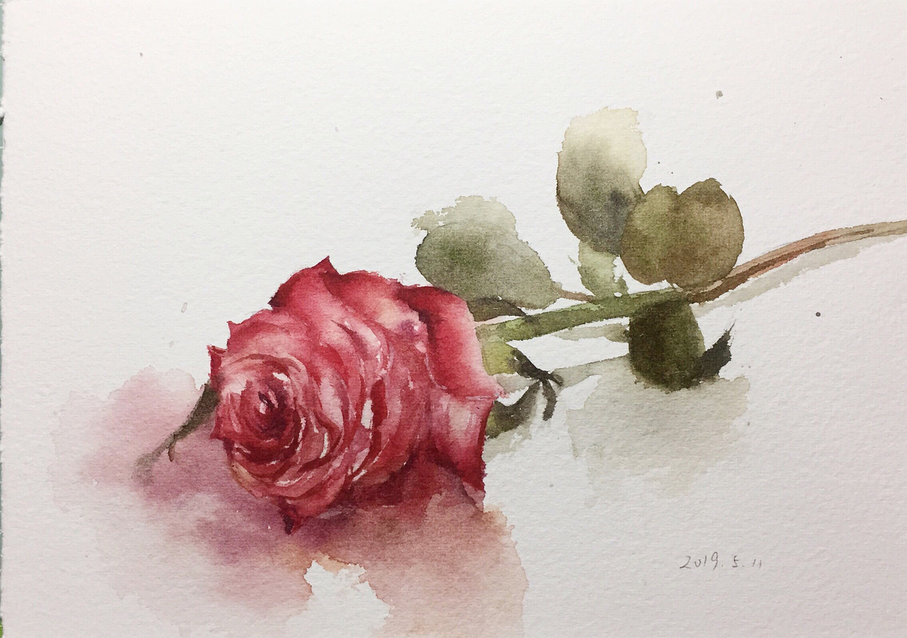 最近的一部分水彩练习作品