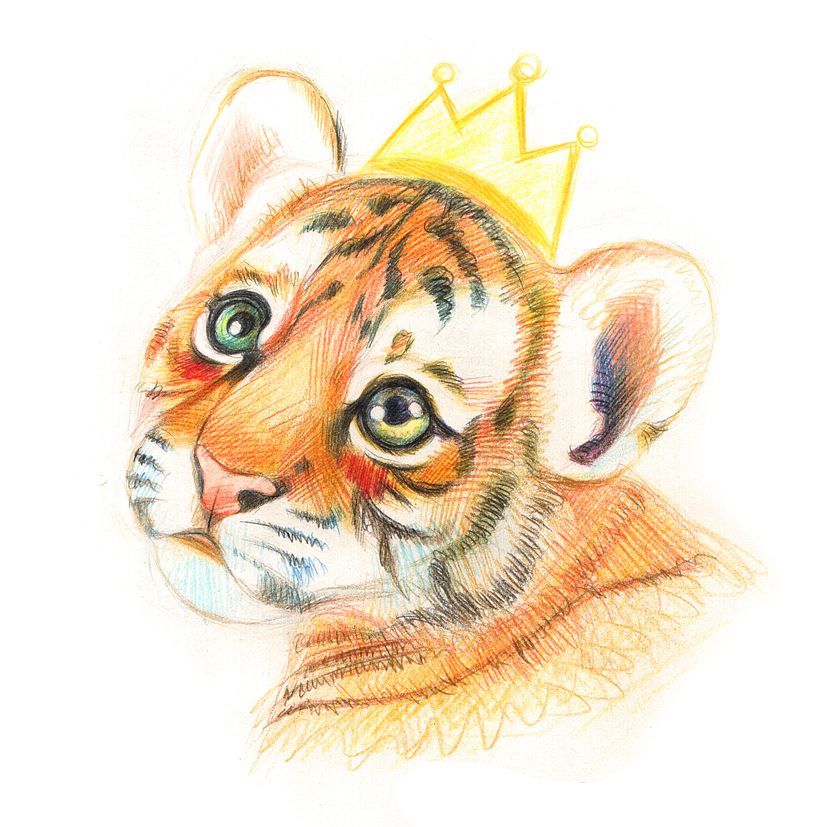 彩铅画萌宠动物