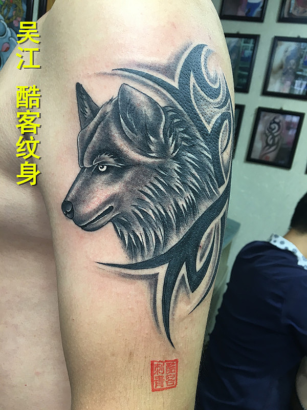 动物纹身图案满背雄鹰纹身图案吴江酷客纹身