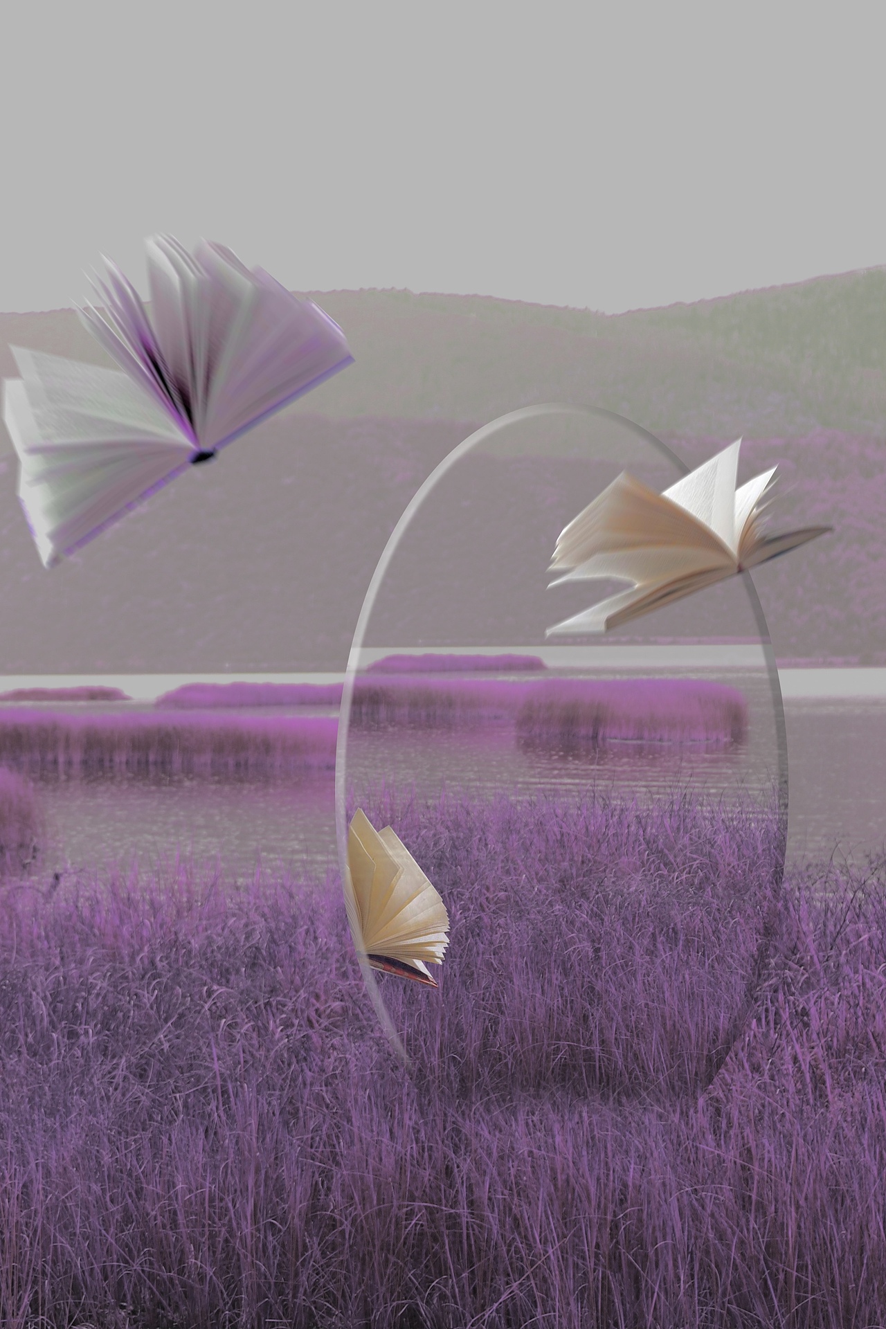 拼贴作品（图ZMjkwNTczNzM2） - 其他摄影 - 站酷设计师云南酸浆米线原创素材 - 站酷ZCOOL