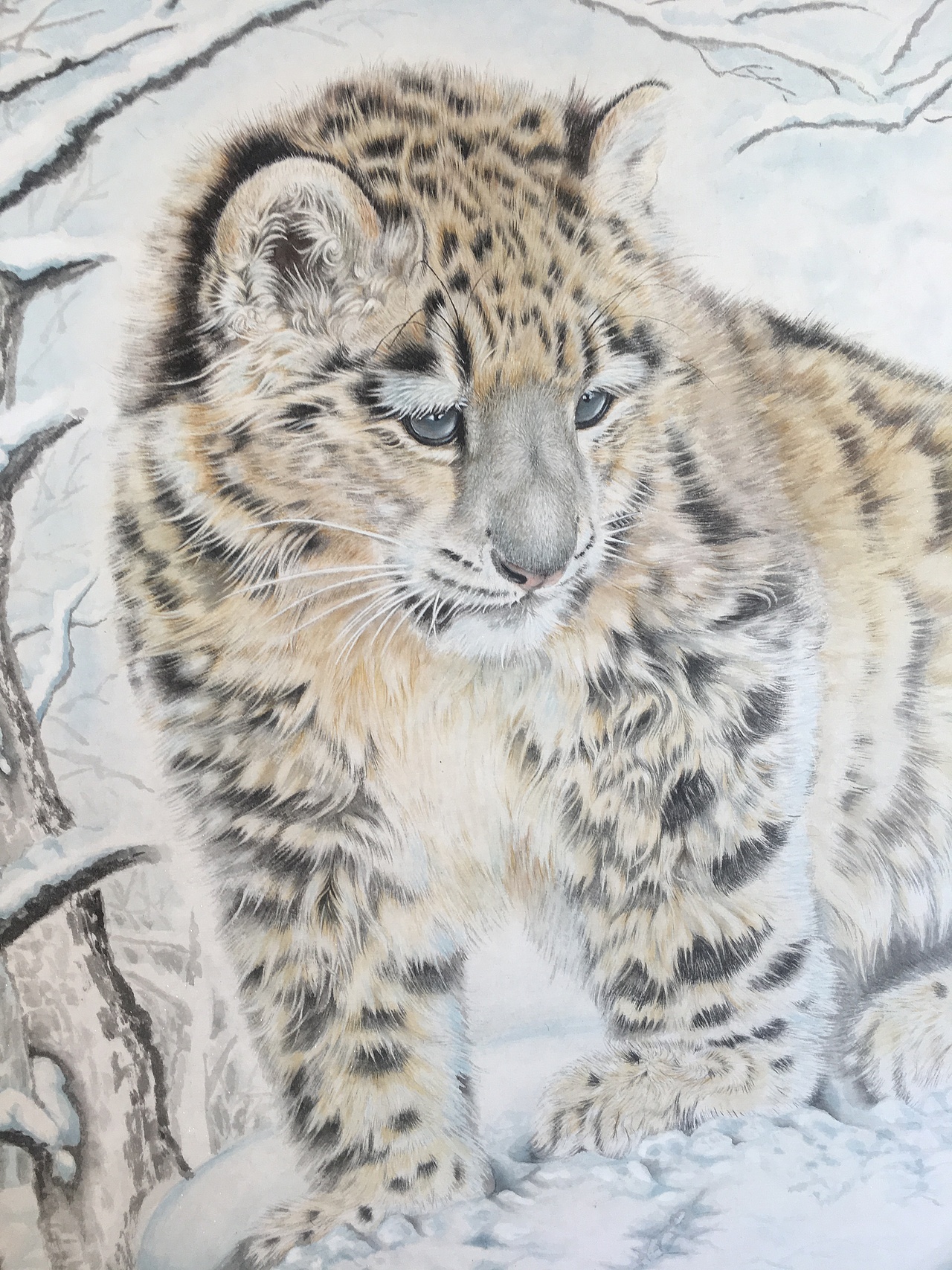 雪豹|纯艺术|绘画|通辽李永春绘画_原创作品-站酷zcool