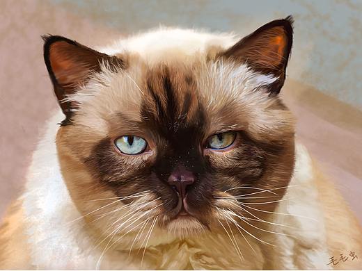 手绘猫（个人主页-ZNTc4Mzk3NjQ=） - 创作习作 - 站酷设计师毛毛虫阿勇原创素材 - 站酷ZCOOL