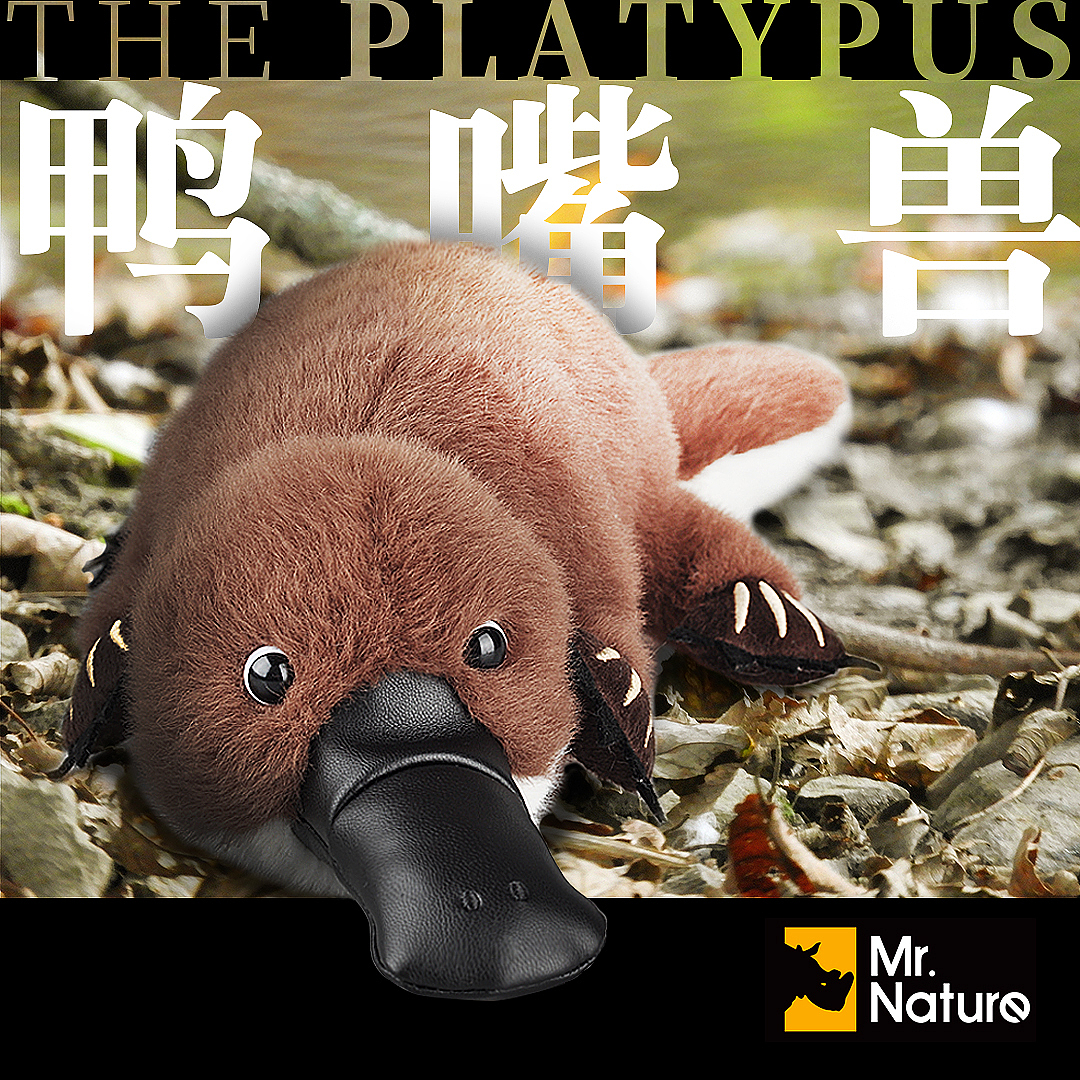 下金蛋的鸭嘴兽