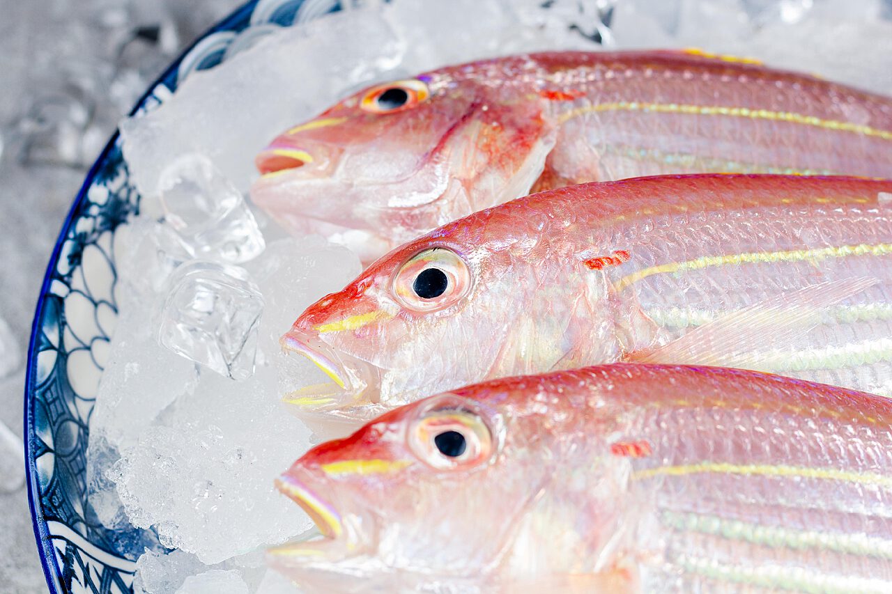 葱蒜金线鱼怎么做_葱蒜金线鱼的做法_豆果美食