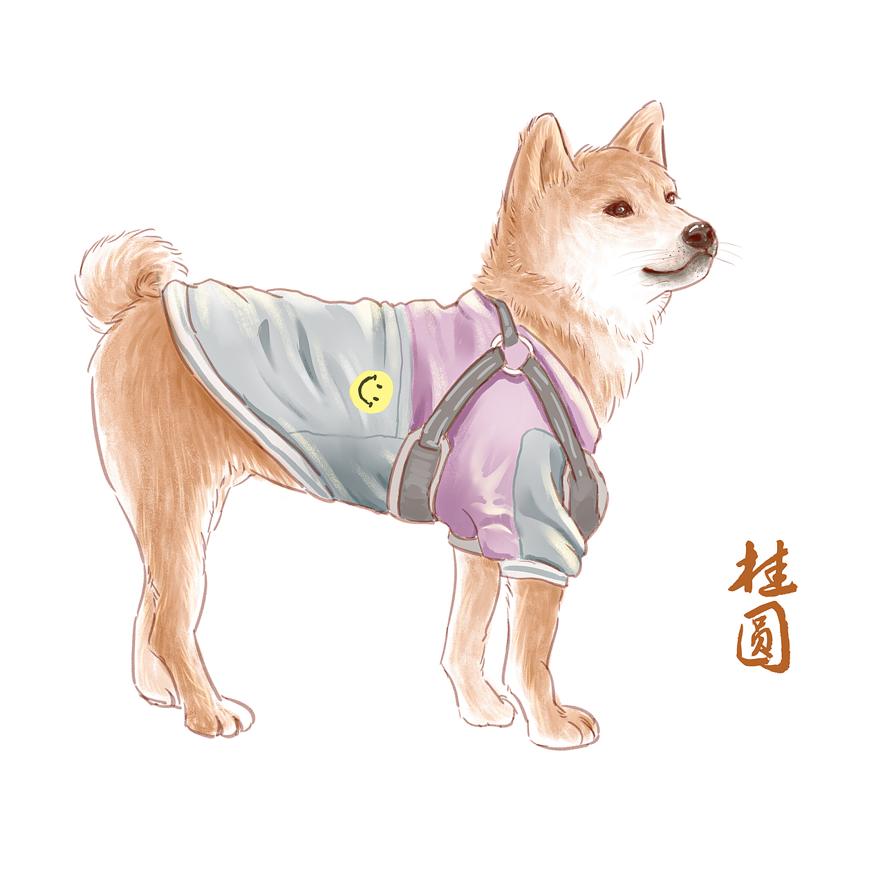 姐妹家的柴犬画像（图ZMzMyNjU4MzA0） - 艺术插画 - 站酷设计师柚子丫y原创素材 - 站酷ZCOOL