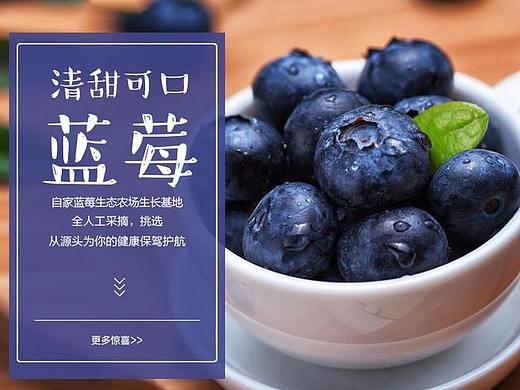 蓝莓 详情页（个人主页-ZMjgwMjgxNDQ=） - 宣传物料 - 站酷设计师考里原创素材 - 站酷ZCOOL