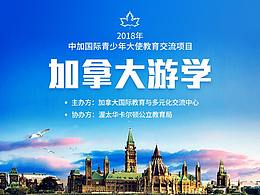 主题团/详情/旅游/车/书籍/保险