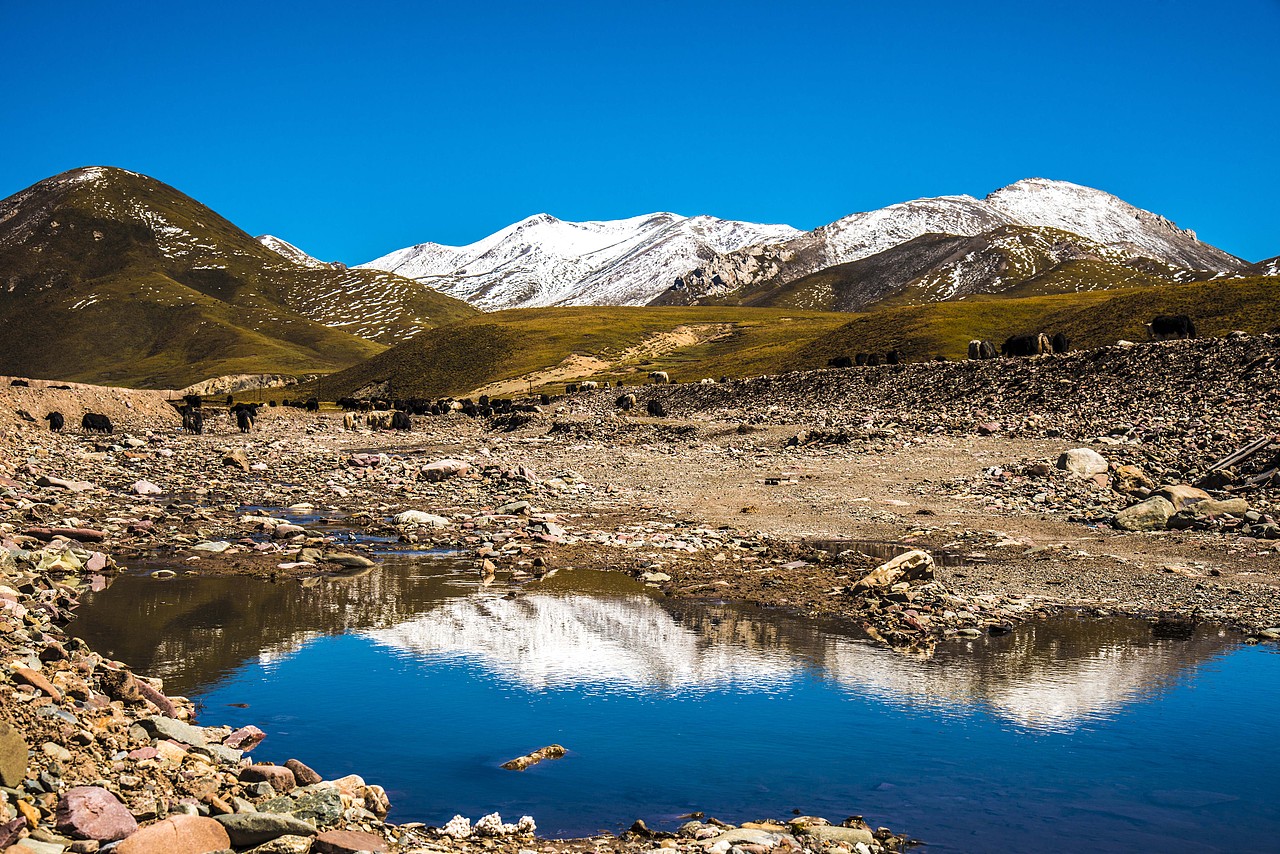 在路上——内蒙古之行