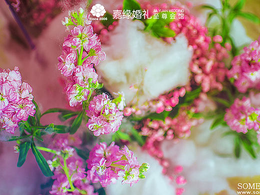 广东婚礼现场