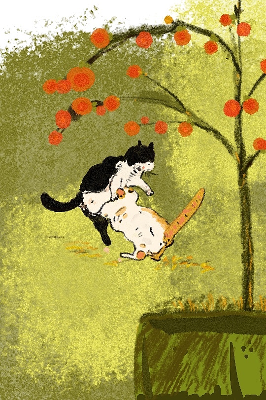 猫；流浪猫（图ZMjk1NzAwMTY0） - 绘本 - 站酷设计师美人椒椒原创素材 - 站酷ZCOOL