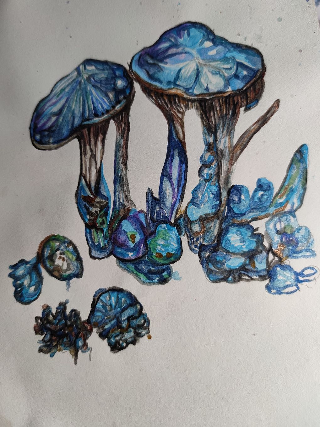 蜉蝣解语（临摹）（图ZMzU5NjIwODQw） - 绘画 - 站酷设计师Ximuxuegu606原创素材 - 站酷ZCOOL