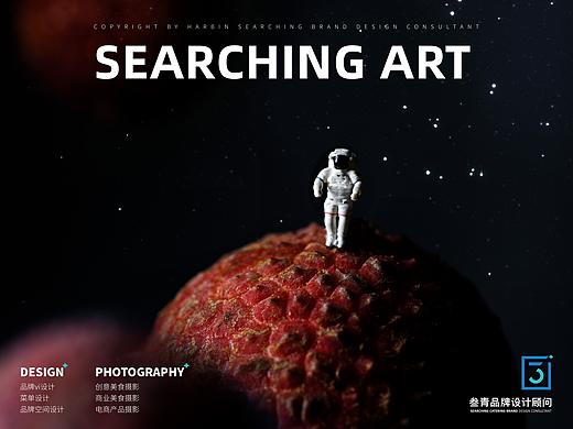 叁青品牌美食摄影 | 荔枝