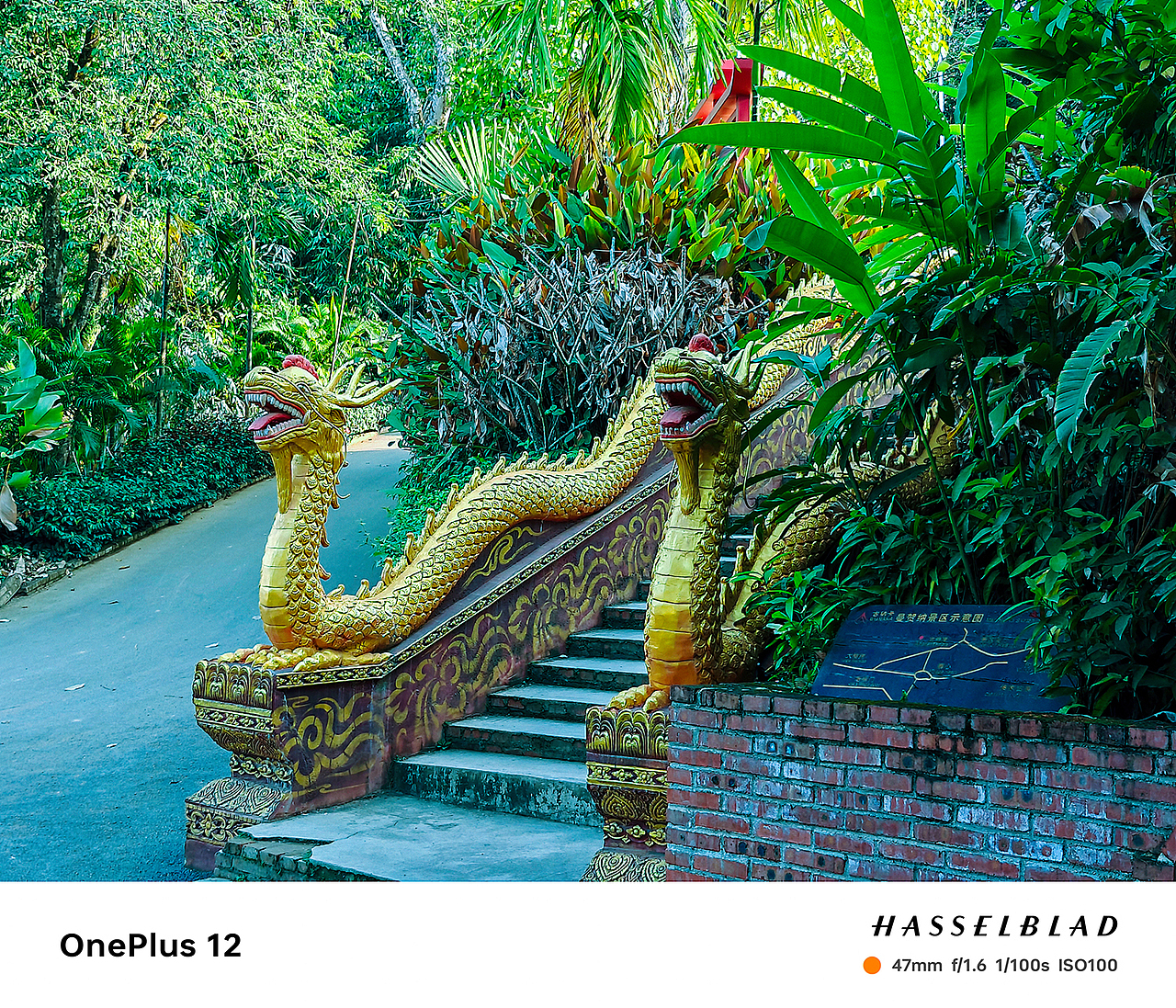 OnePlus 12｜西双版纳市区的古寨曼贺纳（图ZMzYxNjA3NTY4） - 风光摄影 - 站酷设计师图龙摄影原创素材 - 站酷ZCOOL