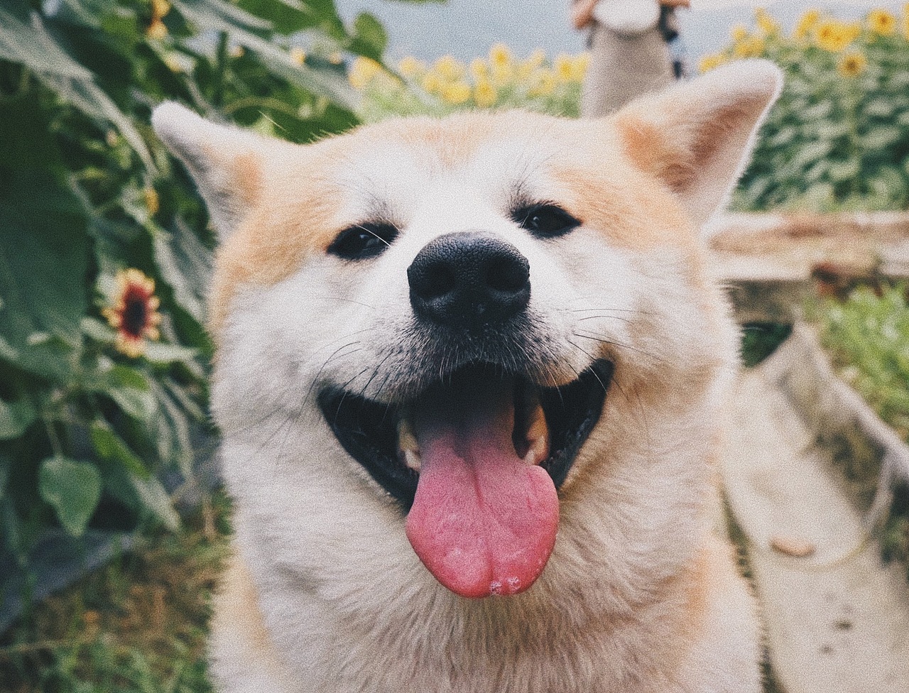 2021.7.5（图ZMjg4NzI0MTA0） - 人像摄影 - 站酷设计师泰革原创素材 - 站酷ZCOOL