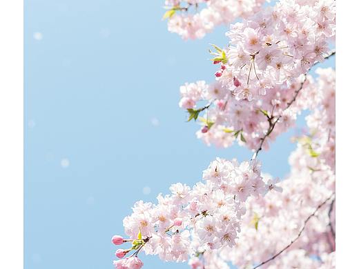 2019-2020 海报作品