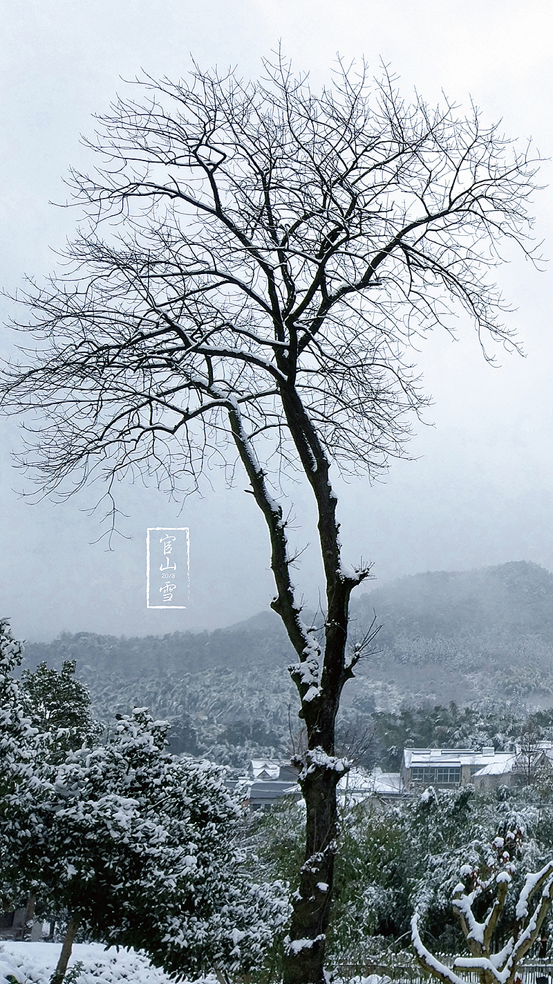 2018杭州初雪 手机屏保（图ZMTA2ODE2NzAw） - 风光摄影 - 站酷设计师JustLoulou原创素材 - 站酷ZCOOL