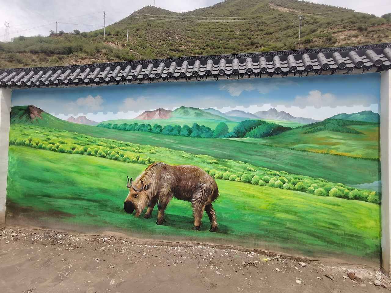 乡村振兴，新农村文化墙，新农村壁画，乡村文化墙