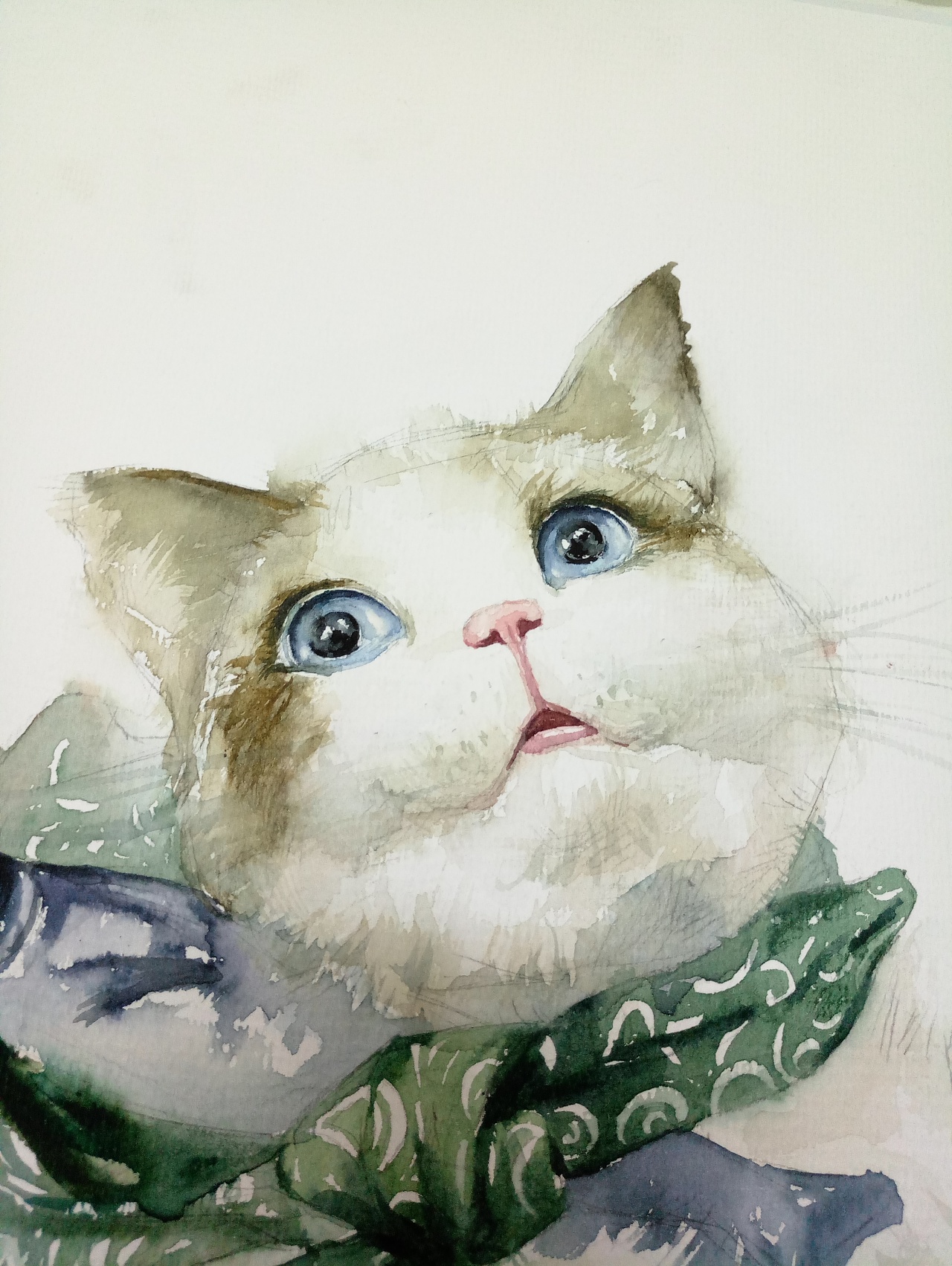 水彩画 一条猫|纯艺术|水彩|艺博乐创意袁博 - 原创作品 - 站酷 (ZCOOL)
