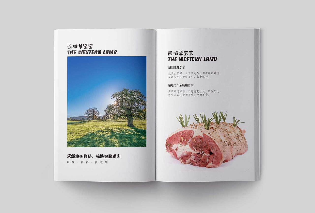 食品画册设计
