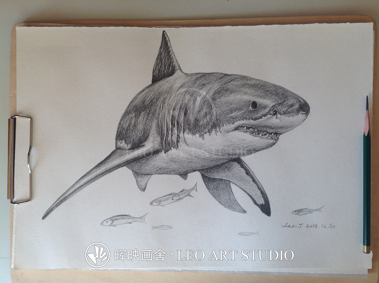 分享一幅素描插画——《大白鲨》的绘制过程