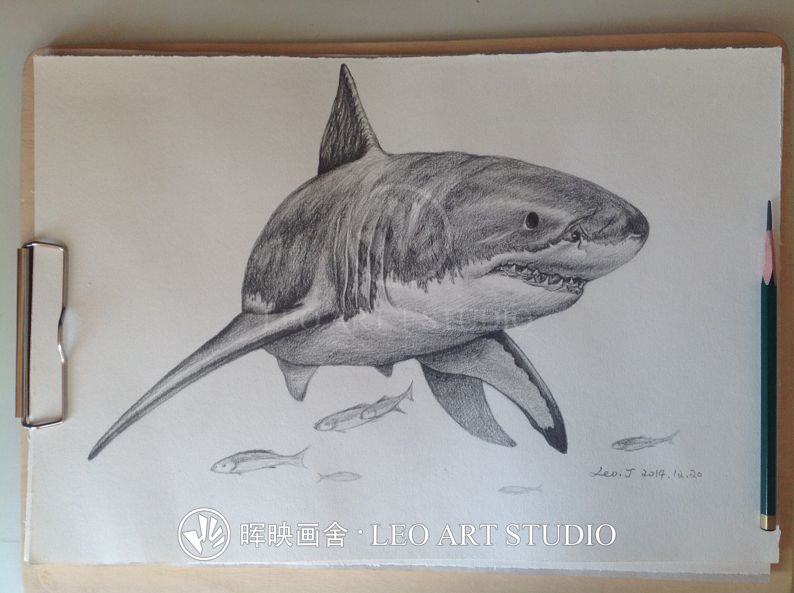 6岁儿童简笔画大全 鲨鱼怎么画简单又好看（海边图画儿童绘画大全） - 有点网 - 好手艺