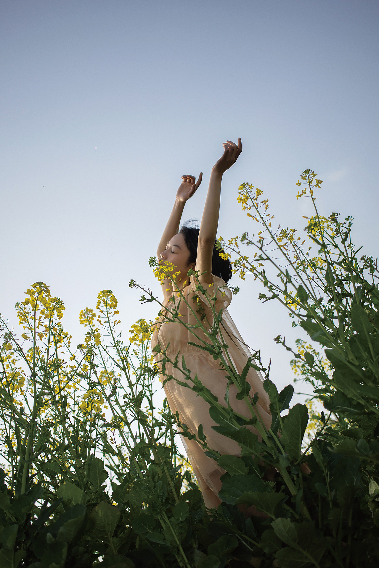 有些鸟儿是关不住的（图ZMjkxODA0MTM2） - 人像摄影 - 站酷设计师斯无鸡蛋原创素材 - 站酷ZCOOL