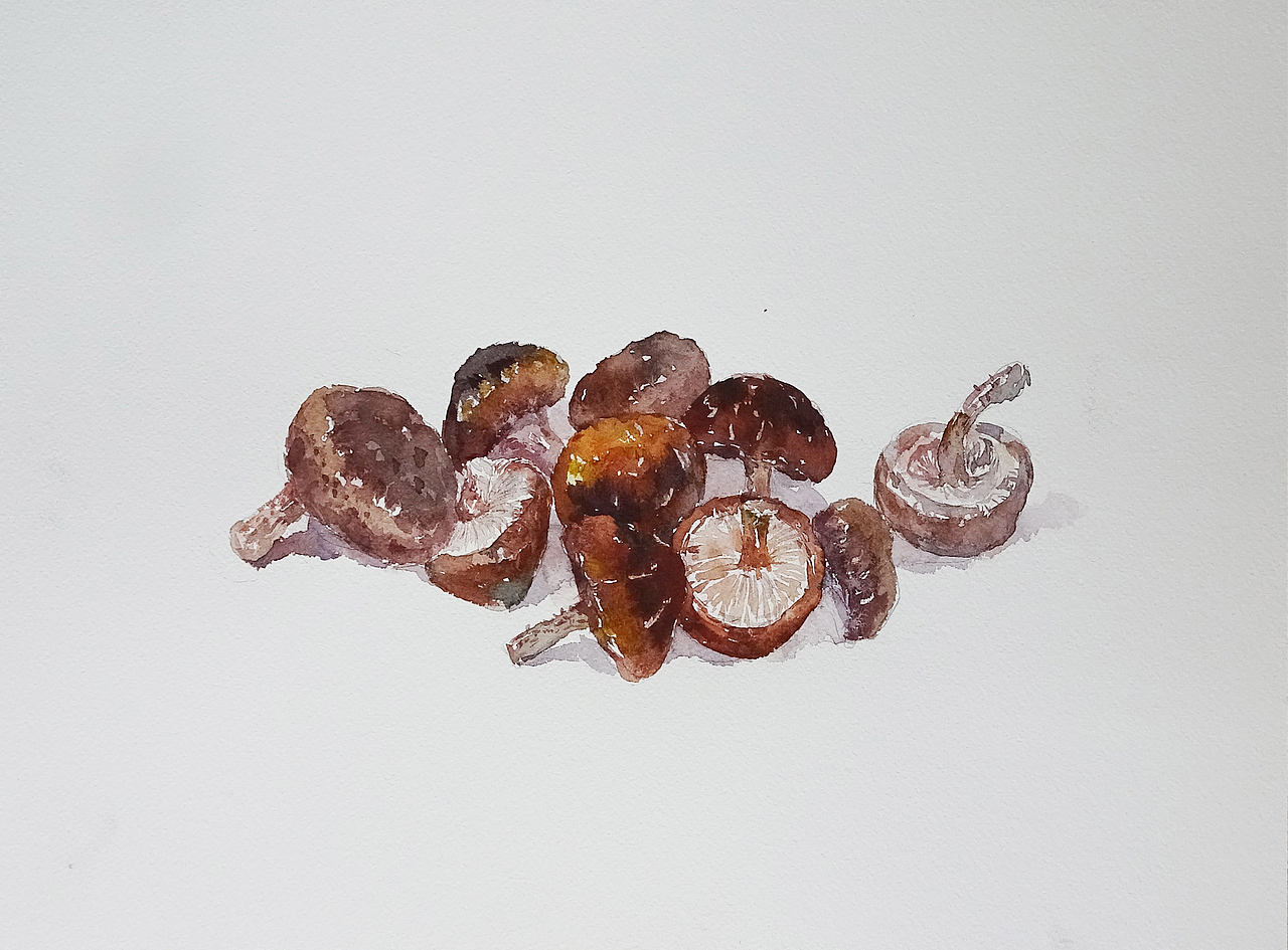 食材（图ZMTM5MTE4NjQw） - 绘本 - 站酷设计师萃艺博课堂原创素材 - 站酷ZCOOL