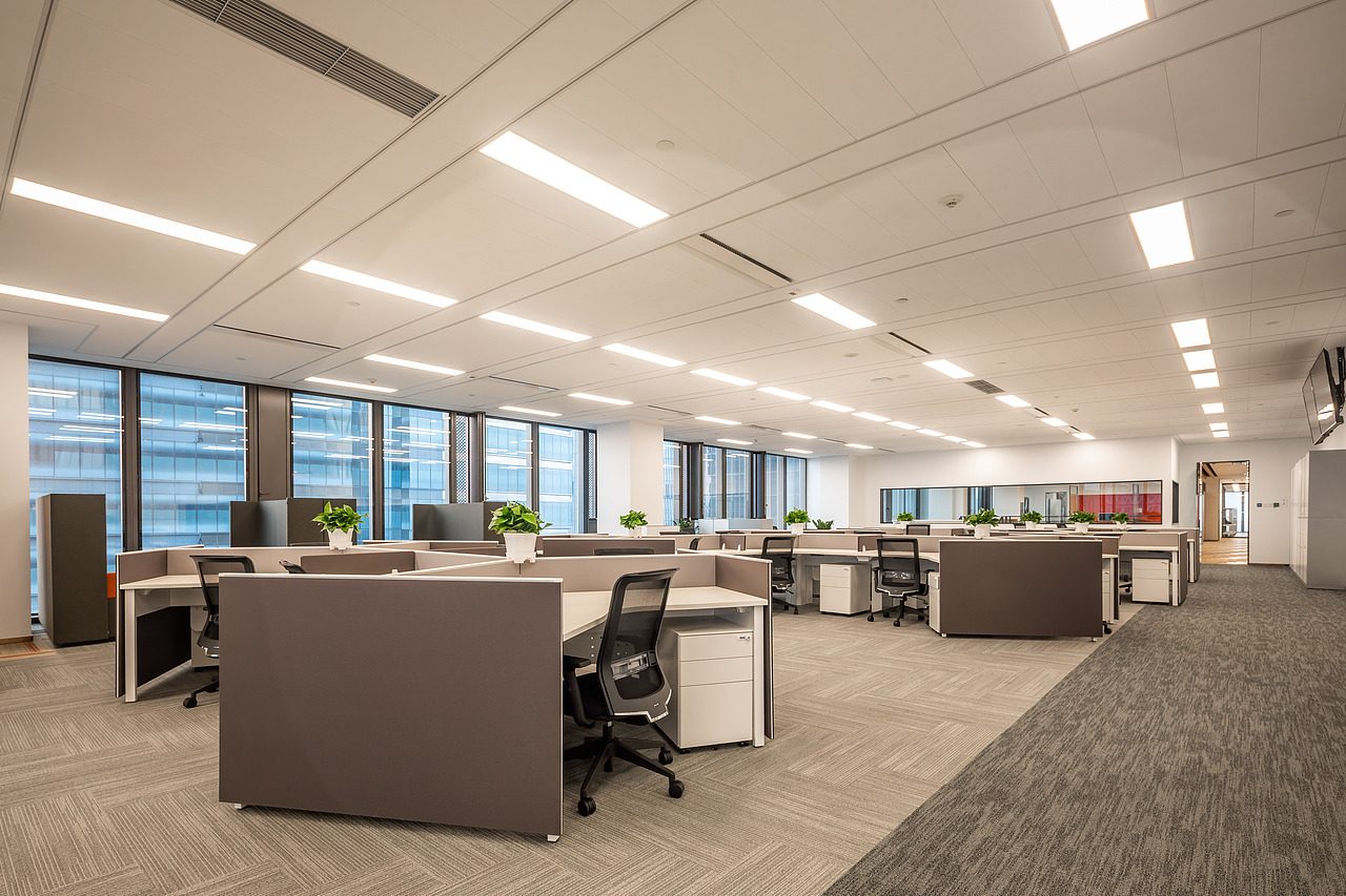 佳能（中国）完工照片