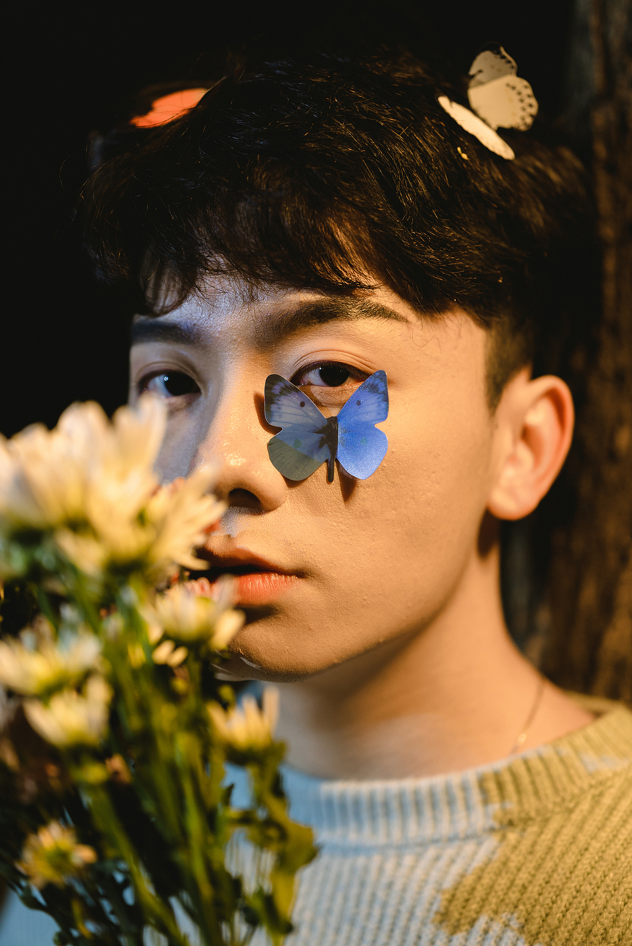 花瓣蝴蝶少年——蝴蝶篇(下集)