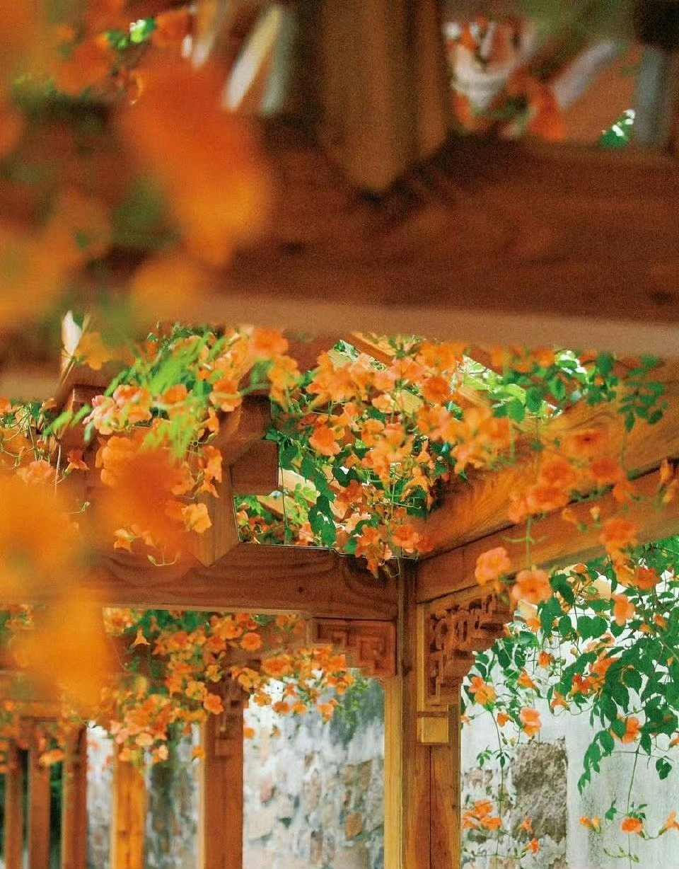 岁月不声不响,你且不慌不忙,在凡俗的烟火里,愿以素