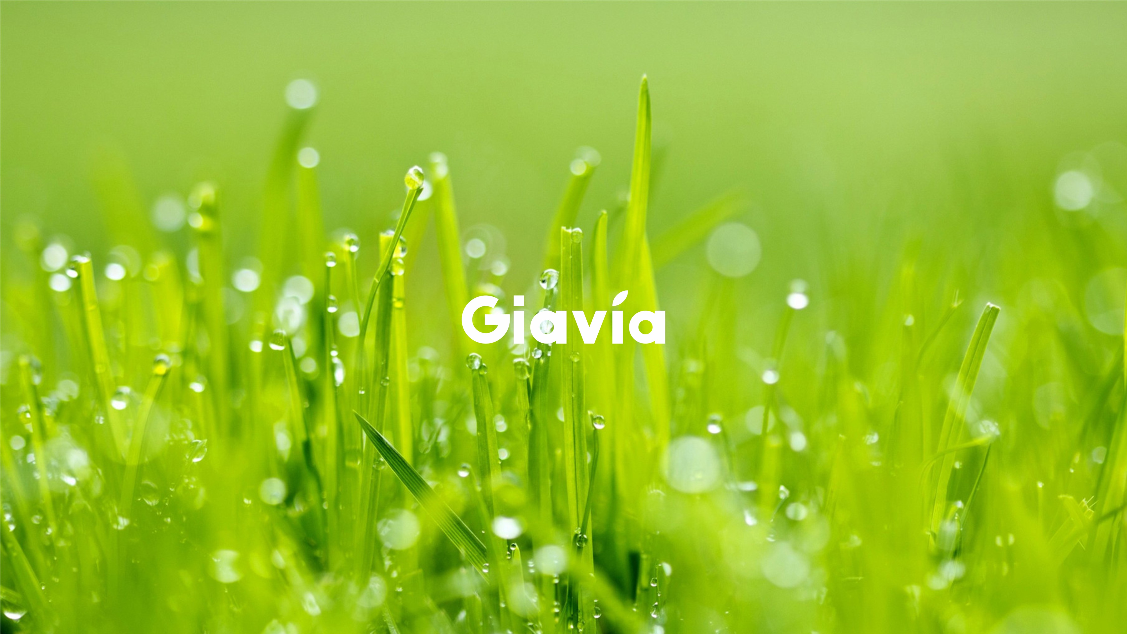 GIAVIA