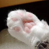 小熊3号的头像