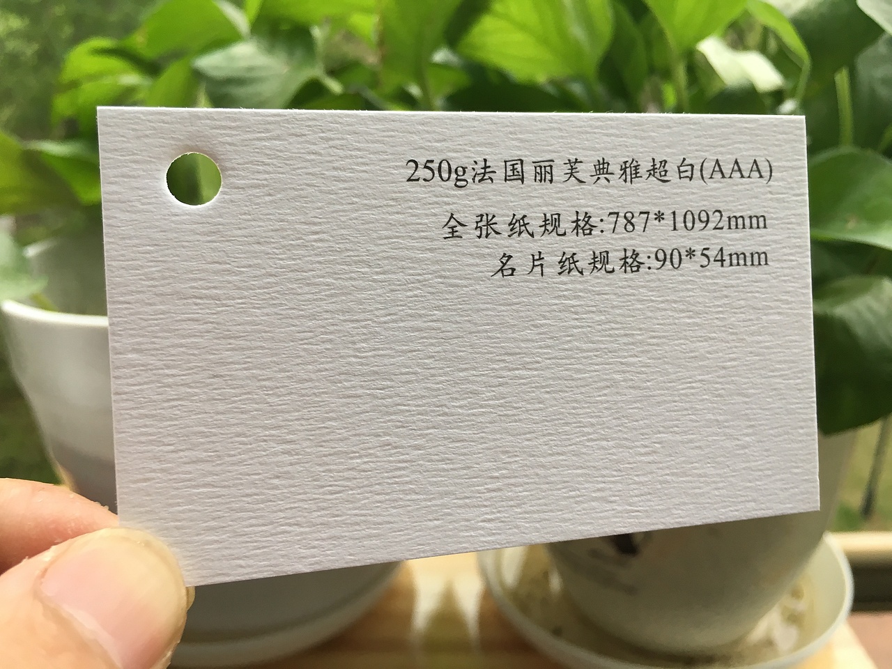 2019款特种纸艺术纸实物展示样册