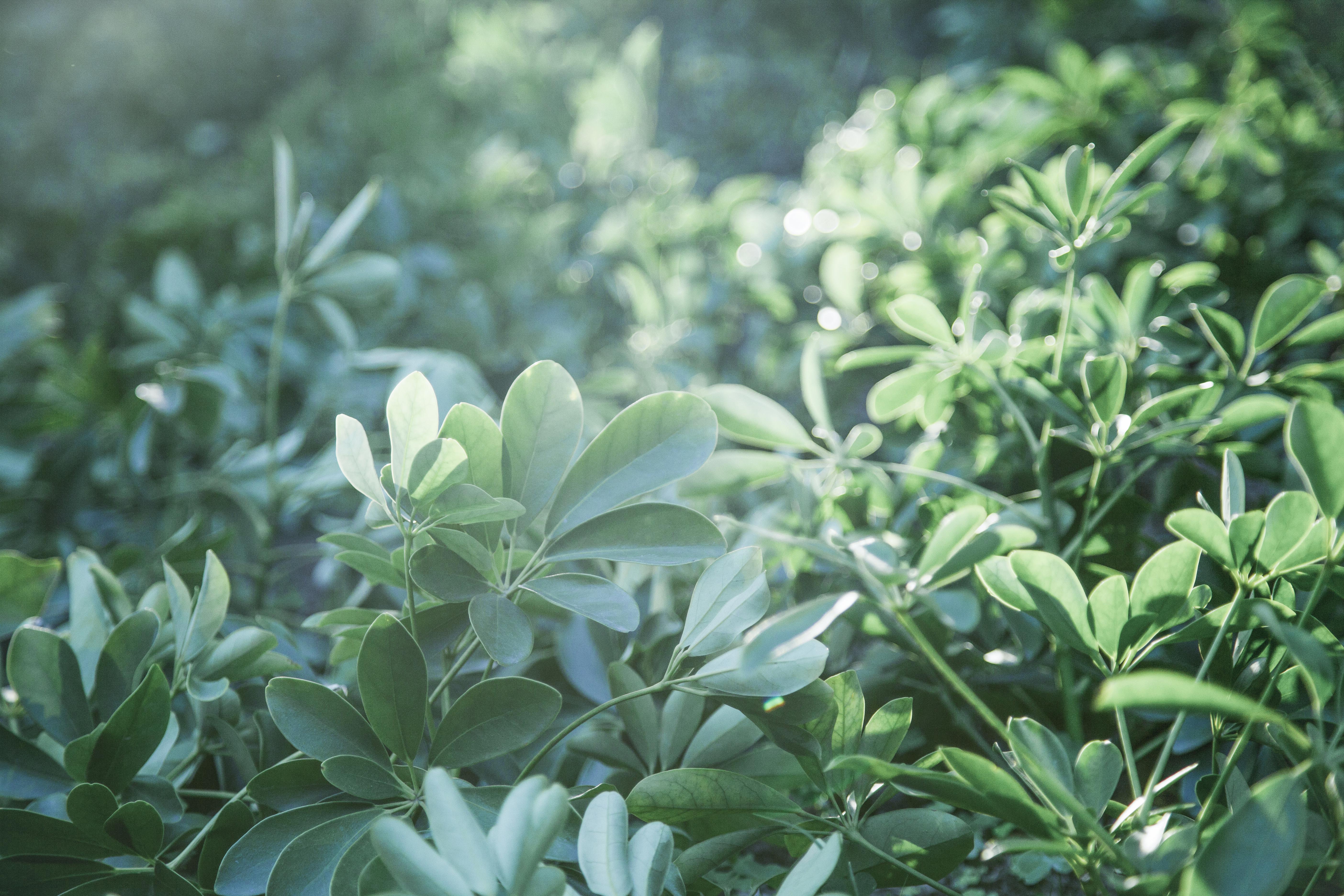 修图师LEI的个人主页（封面预览） - 主页封面设置 - 站酷设计师修图师LEI原创素材 - 站酷ZCOOL