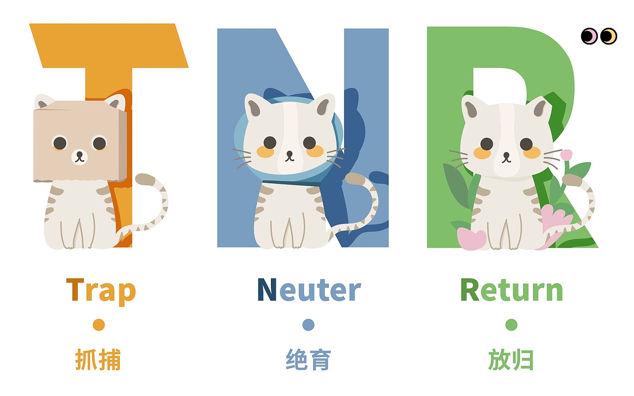 TNR科普插画