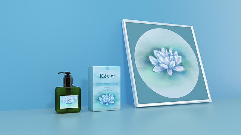 《Rêve》纯植物美容品牌 / 纯露系列（图ZNTc0OTUxMzY=） - 包装 - 站酷设计师你好大海品牌设计原创素材 - 站酷ZCOOL