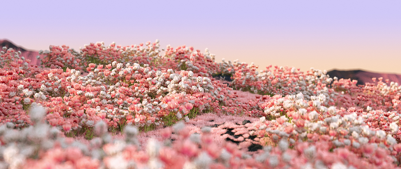 HUAWEI P50 Pocket丨为爱赴约 轻启心动